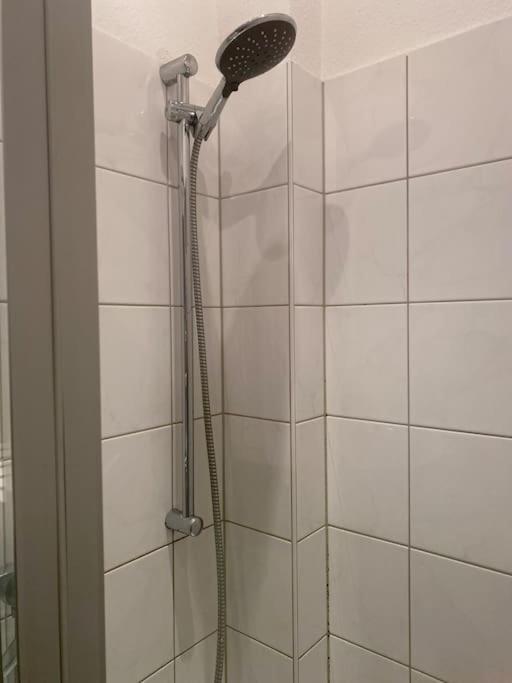 Altbau-Oase Der Eleganz: Stadtnaher Komfort Pur Wiesbaden Dış mekan fotoğraf